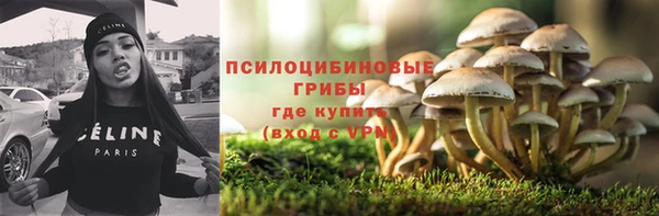 прущий лед Алексин