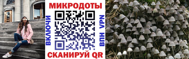 Псилоцибиновые грибы MAGIC MUSHROOMS  где найти   Карабаш 